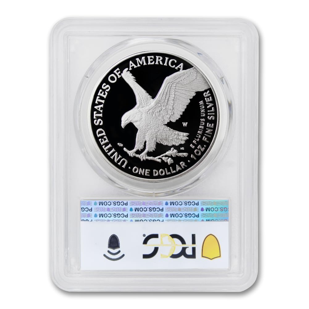 1 oz American Silver Eagle Coin Z78187