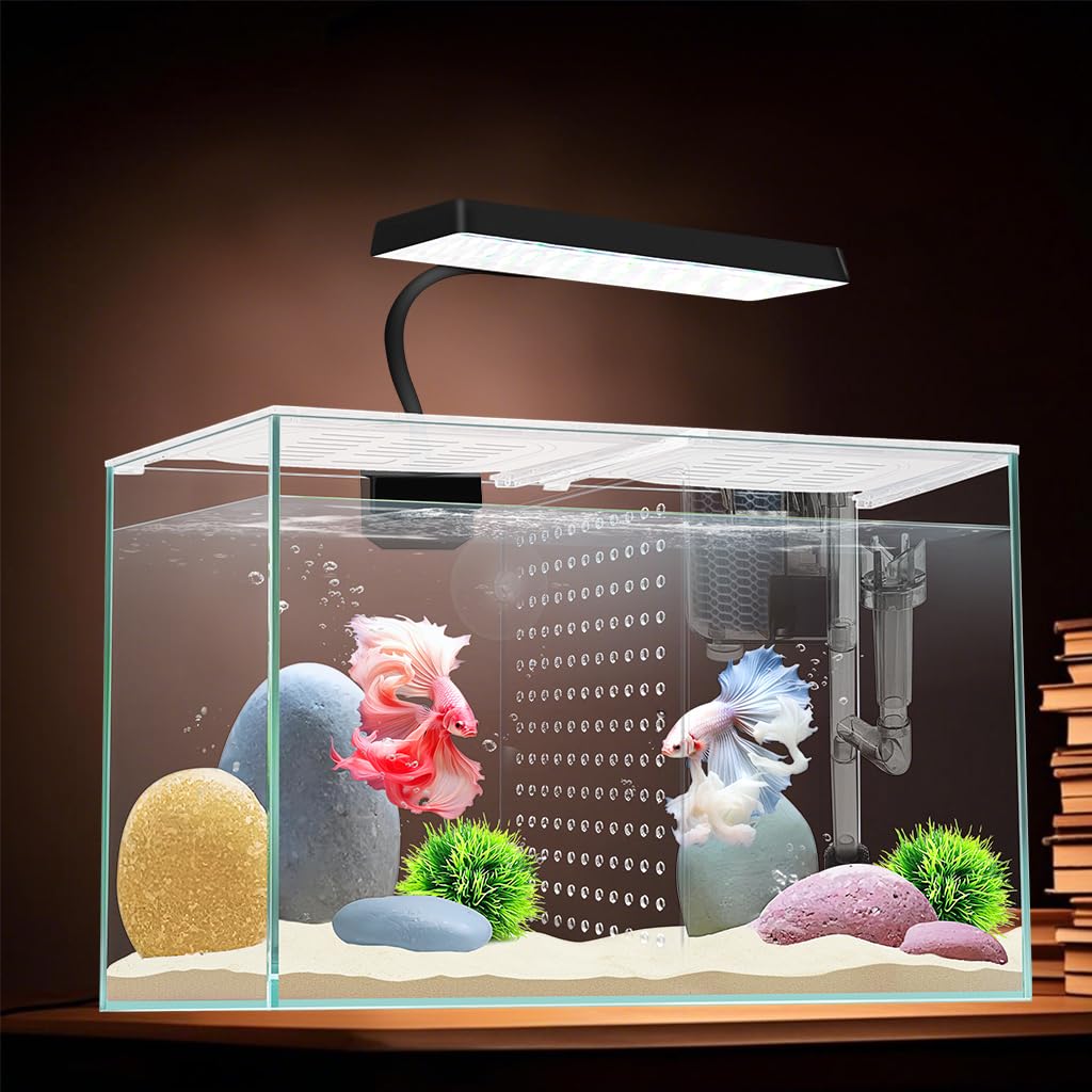3 Gallon Nano Glass Aquarium with Separator Plate M9418