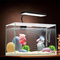 3 Gallon Nano Glass Aquarium with Separator Plate M9418