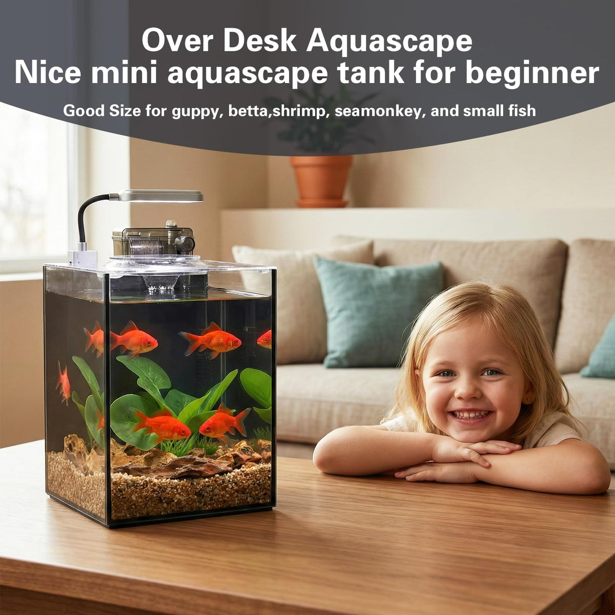 2.2 Gallon Glass Aquarium Set K6470