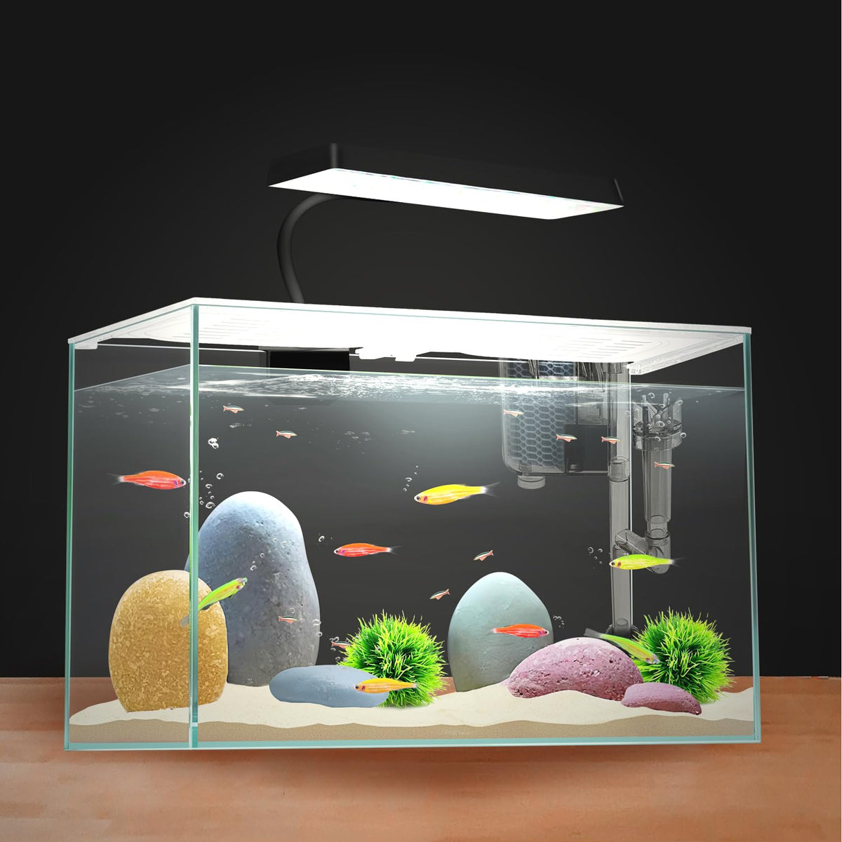 3 Gallon Nano Glass Aquarium with Separator Plate M9418