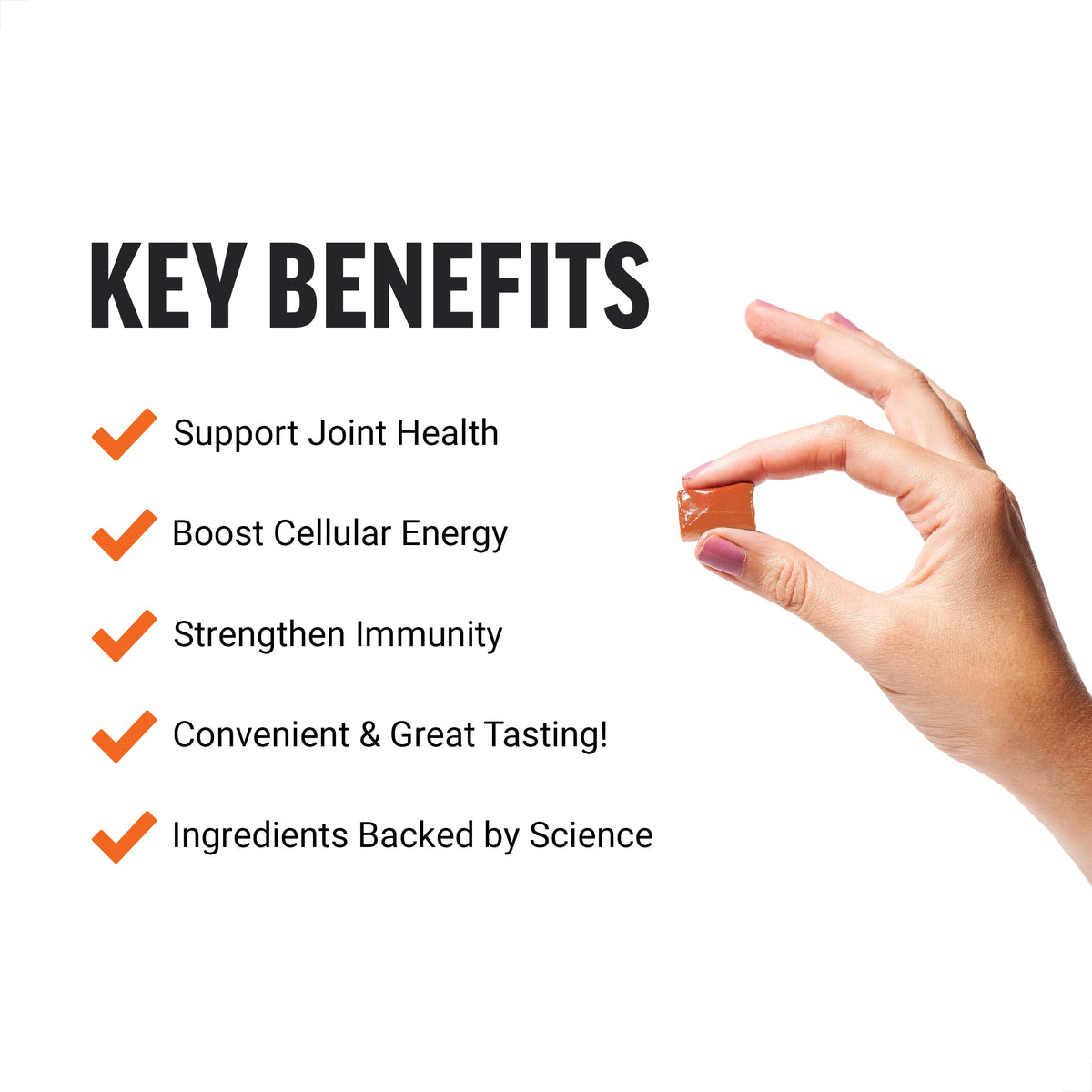 Beet Soft Chews and Turmeric Joint Support Supplement H553737