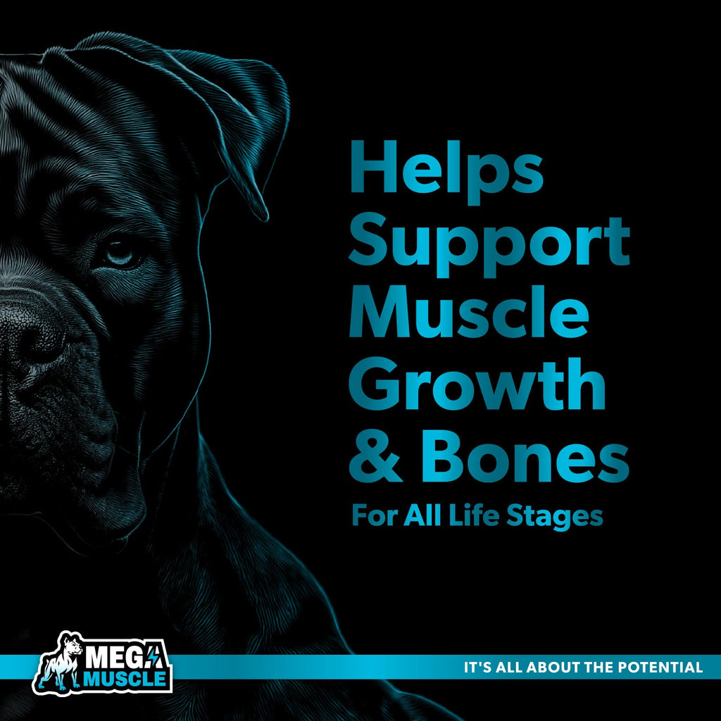 Dog Muscle Support Powder Blue Mussel Bone Broth Food Topper 3.2 oz M102566