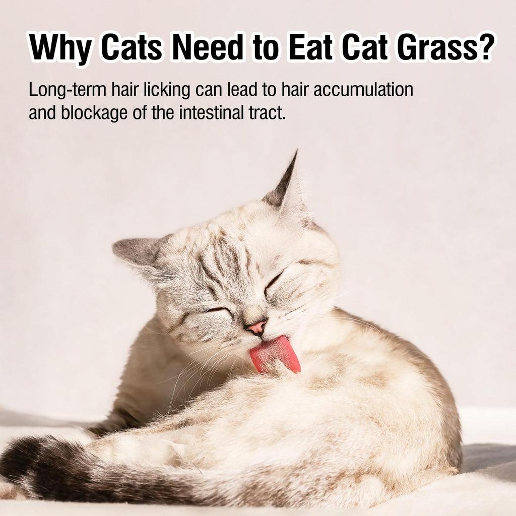 Freeze Drying Cat Grass Treats with Chicken & Egg Yolk 2.3 oz E525694