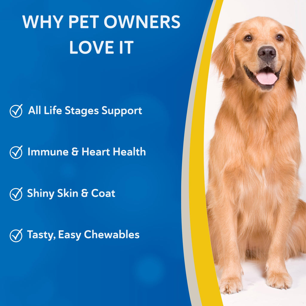 Canine Chewable Multivitamin Tablets 365ct R5530