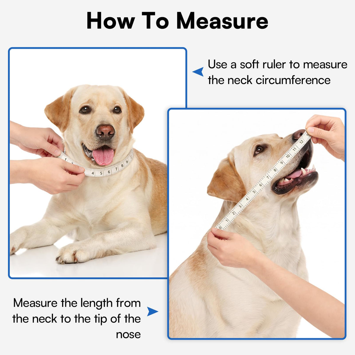 Soft Dog Cone Collar R15814