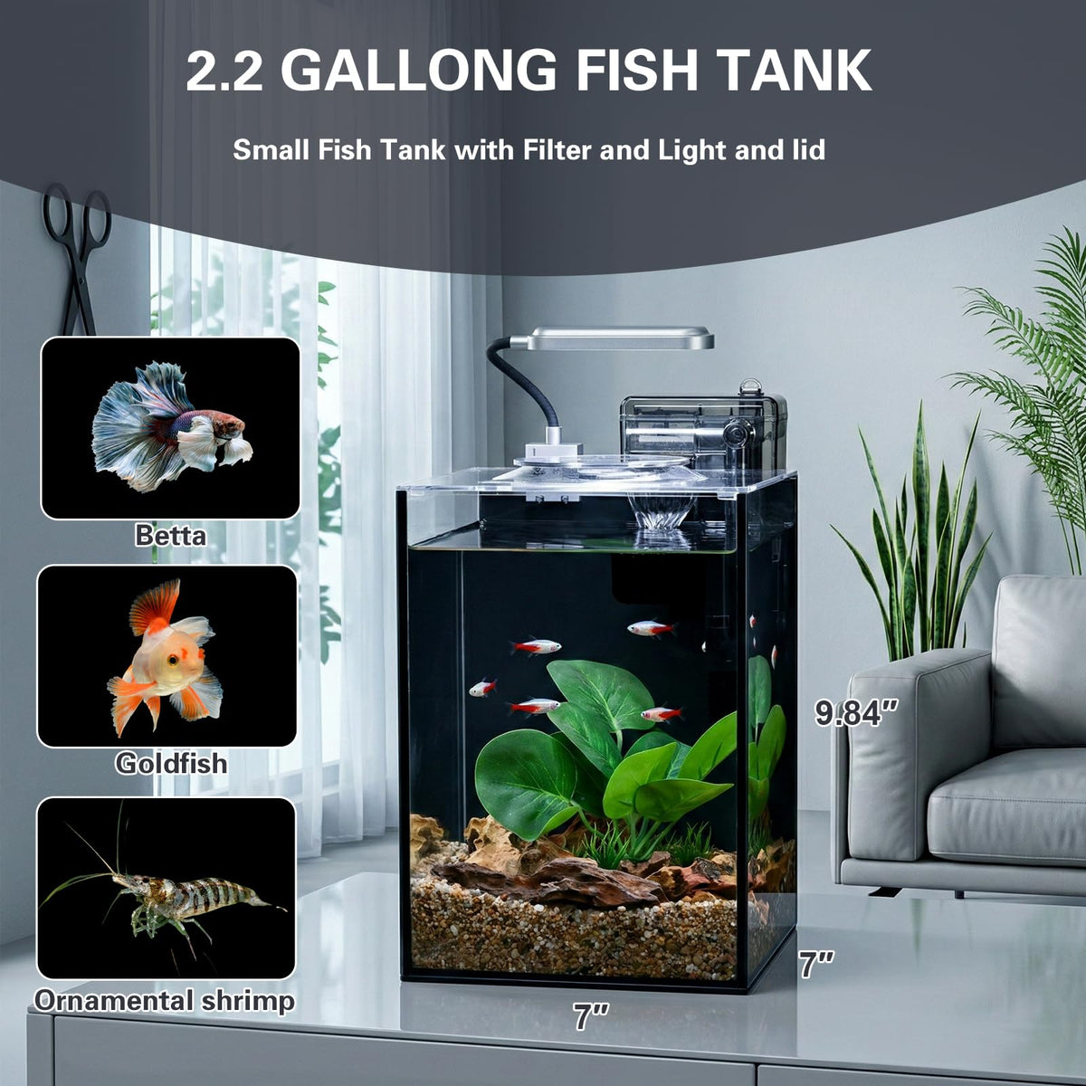 2.2 Gallon Glass Aquarium Set K6470