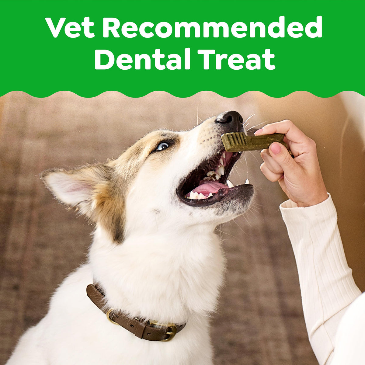 Natural Dental Dog Treats 5 Count B3638