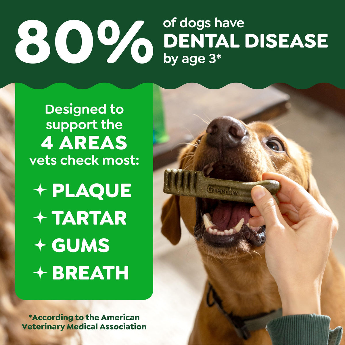Natural Dental Dog Treats 5 Count B3638