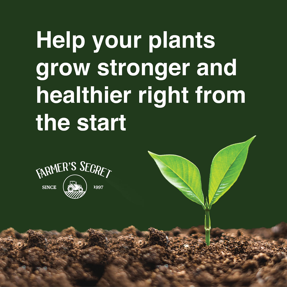 32oz Concentrated High Phosphorus Plant Booster S426923