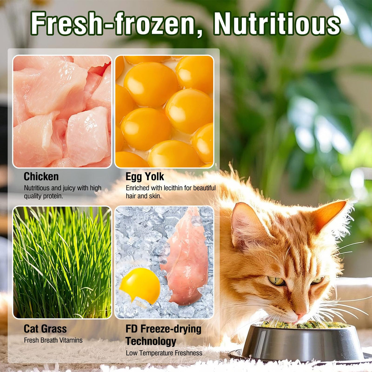 Freeze Drying Cat Grass Treats with Chicken & Egg Yolk 2.3 oz E525694