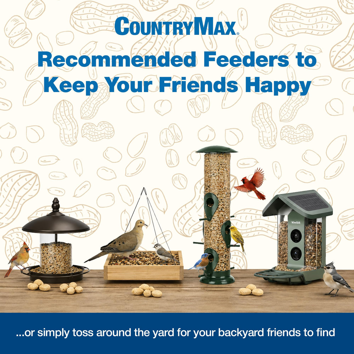 Backyard Seeds 20LB Finch & Small Songbird G3875