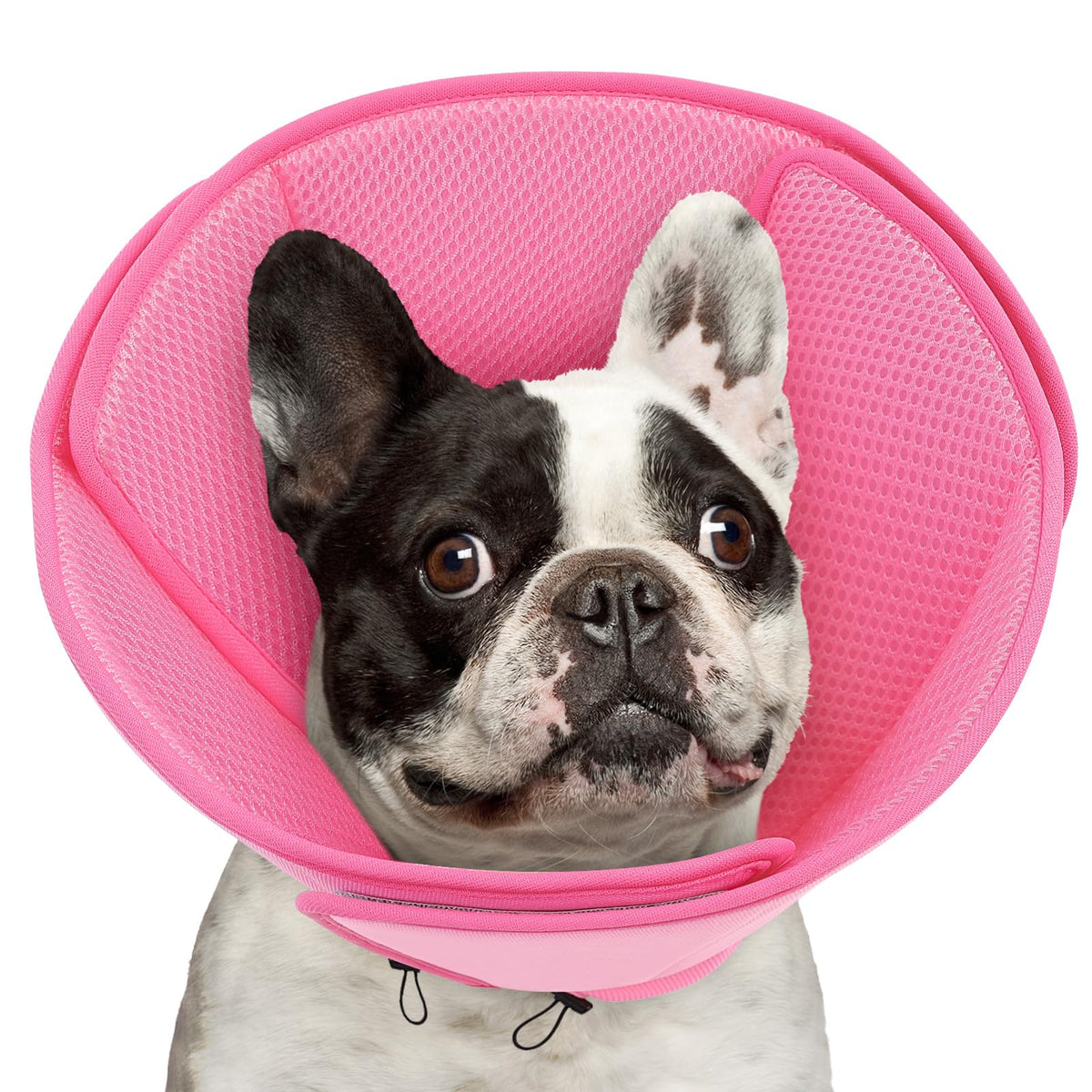 Soft Dog Cone Collar R15814