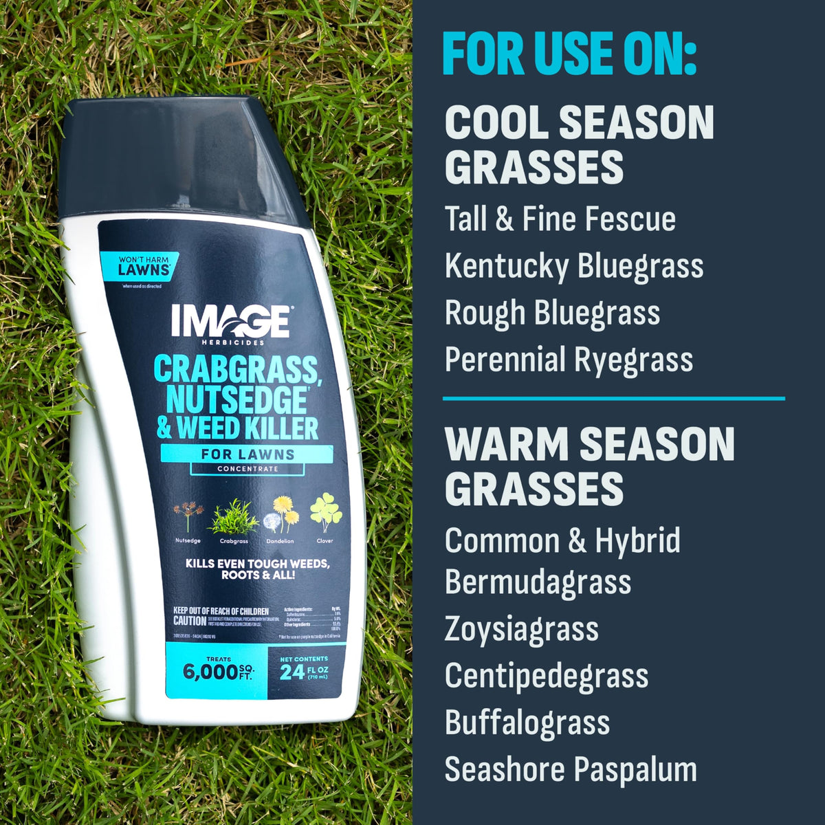 24 fl oz Herbicide Y200109