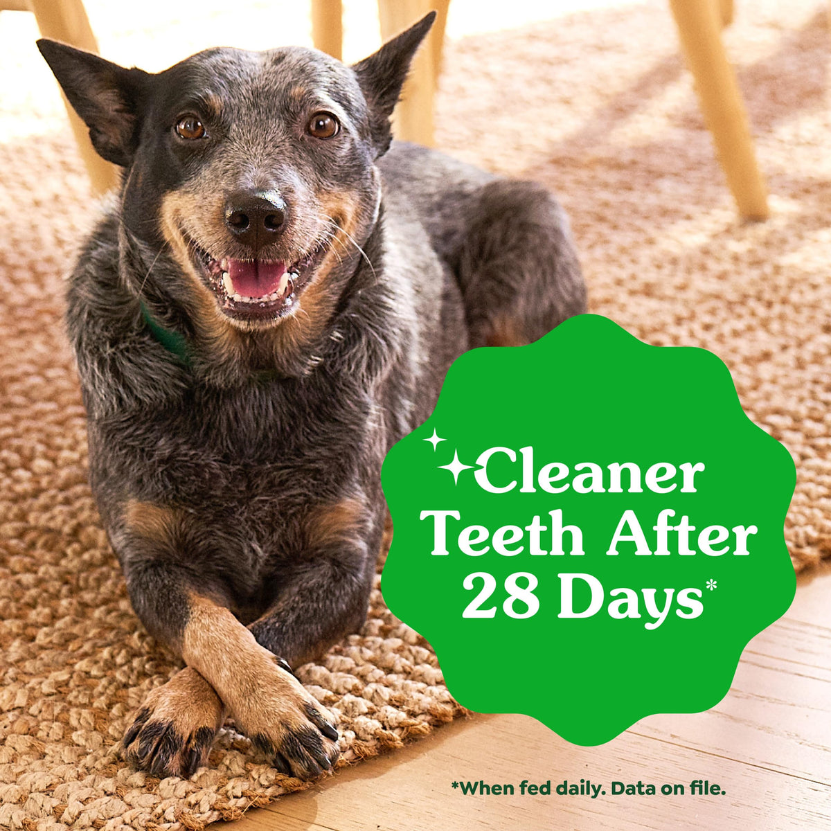 Natural Dental Dog Treats 5 Count B3638